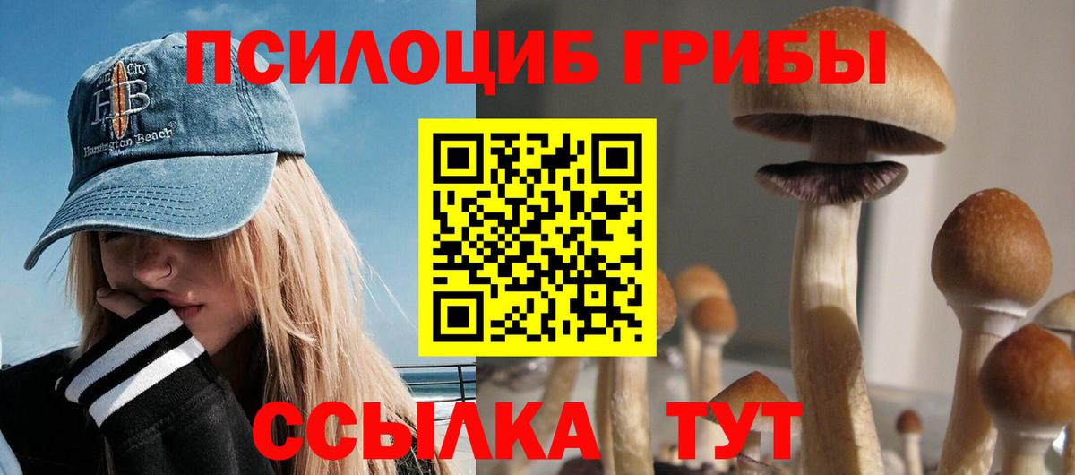 Галлюциногенные грибы мицелий Артёмовский