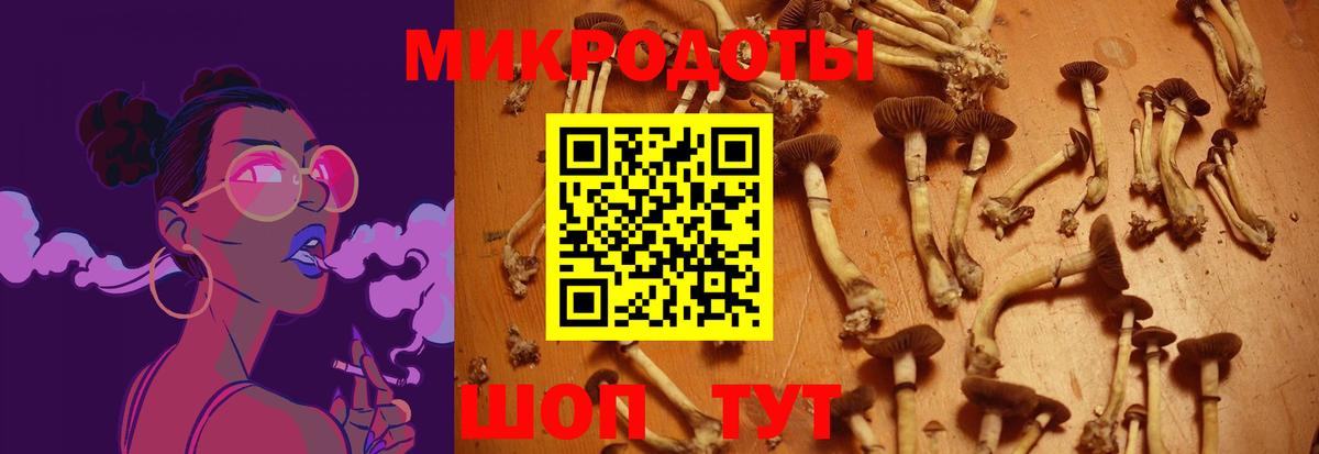 Псилоцибиновые грибы Psilocybine cubensis  Вход с VPN  Галлюциногенные грибы мицелий  Артёмовский 